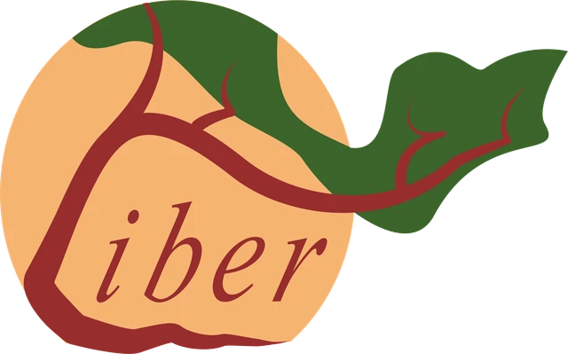Logo Liber