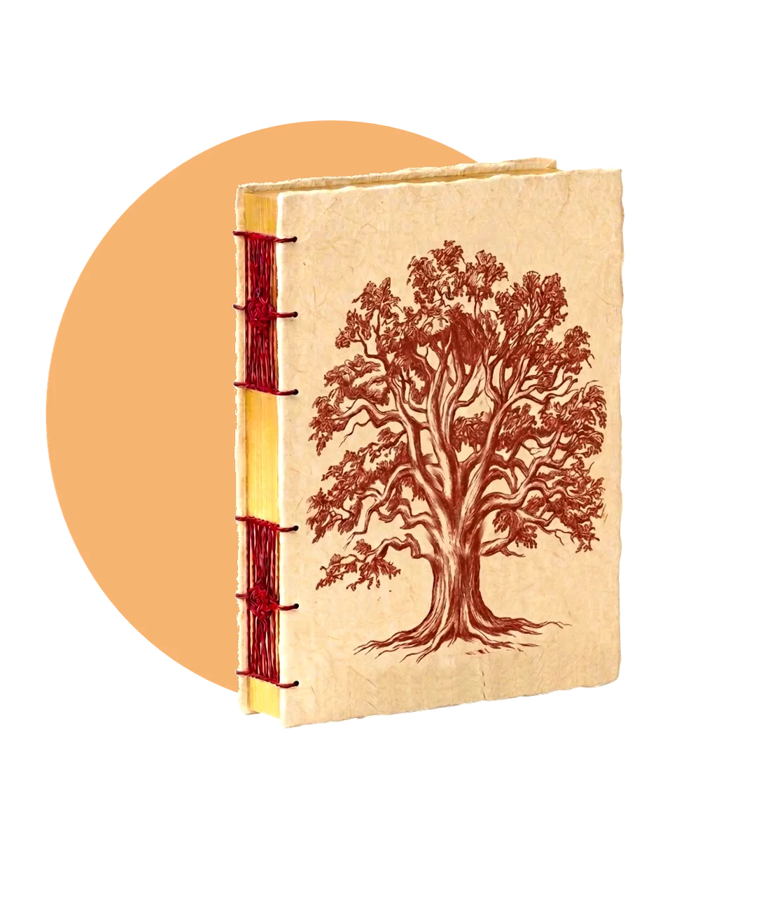 La monographie arboricole Liber, reliure japonaise à fil rouge et couverture illustrée d'un chêne à la sanguine